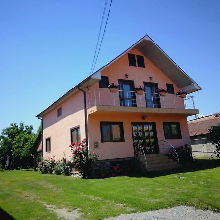 Pensiunea Balea Sat Cîrţişoara Esterno foto