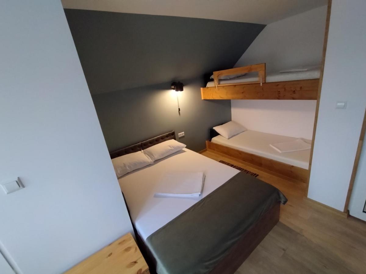 Pensiunea Balea Sat Cîrţişoara Esterno foto