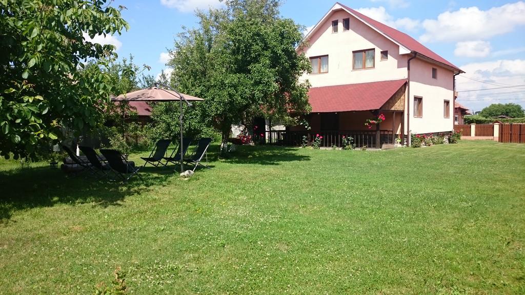 Pensiunea Balea Sat Cîrţişoara Esterno foto