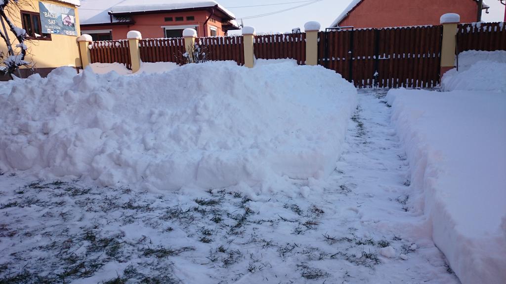 Pensiunea Balea Sat Cîrţişoara Esterno foto