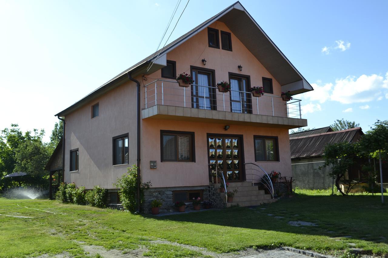 Pensiunea Balea Sat Cîrţişoara Esterno foto