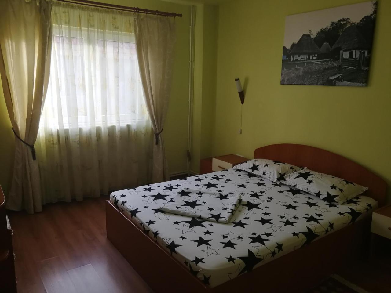 Pensiunea Balea Sat Cîrţişoara Esterno foto
