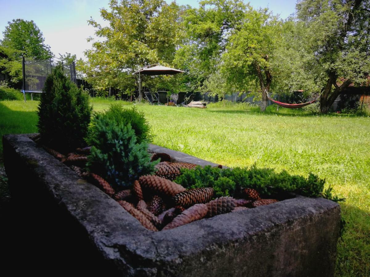 Pensiunea Balea Sat Cîrţişoara Esterno foto